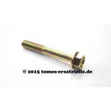 Schraube M8x55